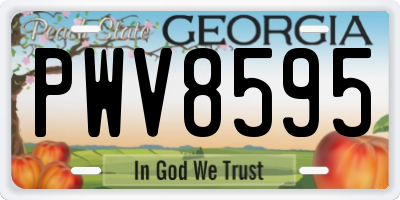 GA license plate PWV8595