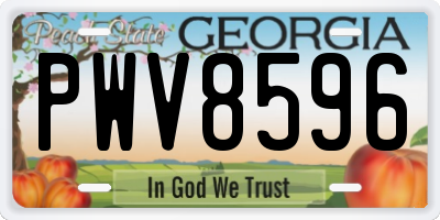 GA license plate PWV8596