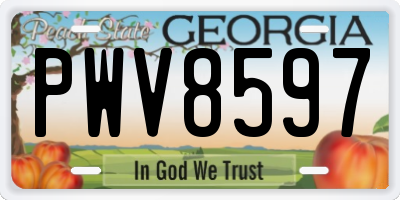 GA license plate PWV8597