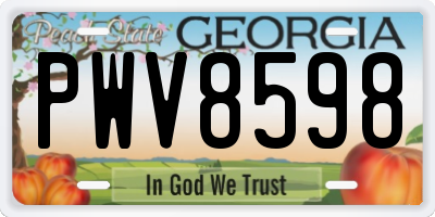 GA license plate PWV8598