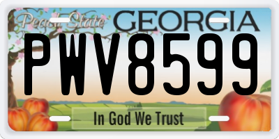 GA license plate PWV8599