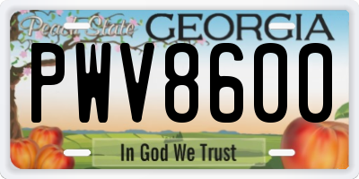 GA license plate PWV8600