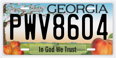 GA license plate PWV8604