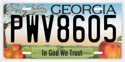 GA license plate PWV8605