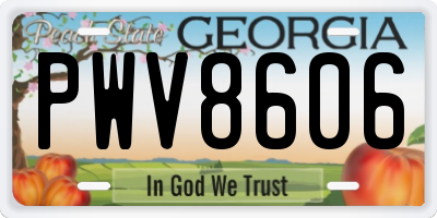 GA license plate PWV8606