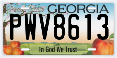GA license plate PWV8613