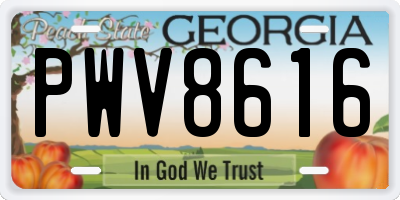 GA license plate PWV8616