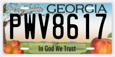 GA license plate PWV8617