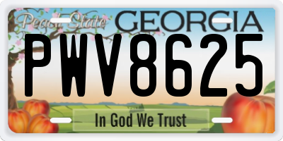 GA license plate PWV8625