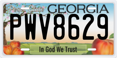 GA license plate PWV8629