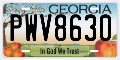 GA license plate PWV8630