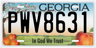 GA license plate PWV8631