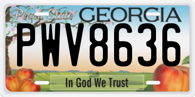 GA license plate PWV8636