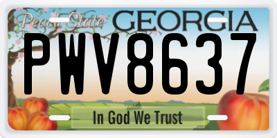 GA license plate PWV8637