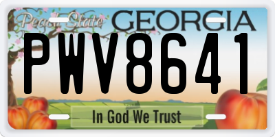 GA license plate PWV8641