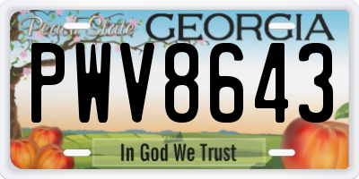 GA license plate PWV8643