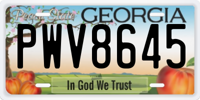 GA license plate PWV8645