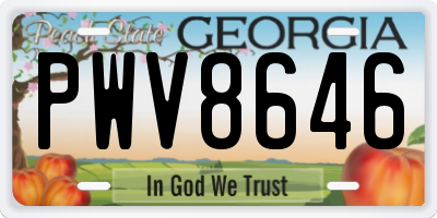 GA license plate PWV8646
