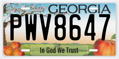GA license plate PWV8647