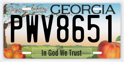 GA license plate PWV8651
