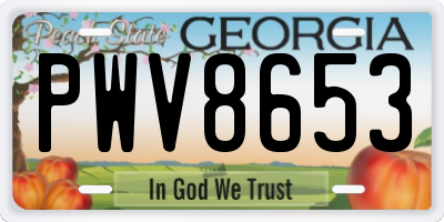 GA license plate PWV8653