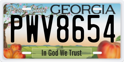 GA license plate PWV8654