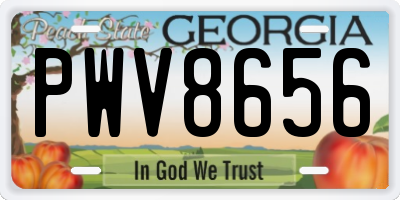 GA license plate PWV8656