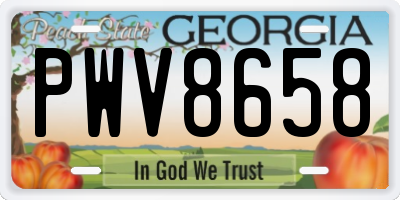 GA license plate PWV8658