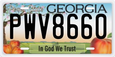 GA license plate PWV8660