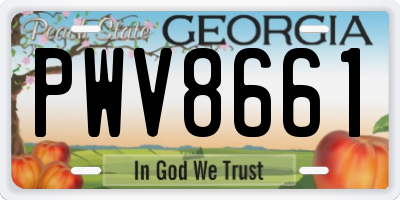 GA license plate PWV8661