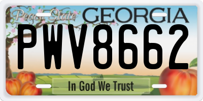 GA license plate PWV8662