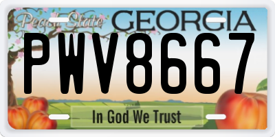 GA license plate PWV8667