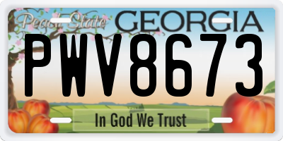 GA license plate PWV8673