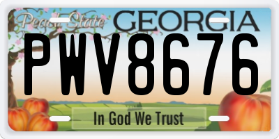 GA license plate PWV8676