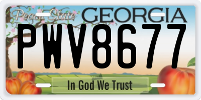GA license plate PWV8677