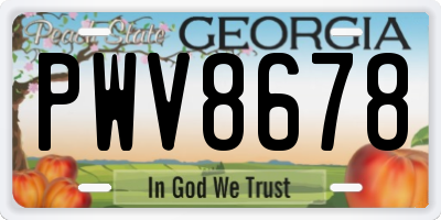 GA license plate PWV8678