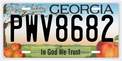 GA license plate PWV8682