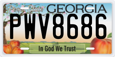 GA license plate PWV8686