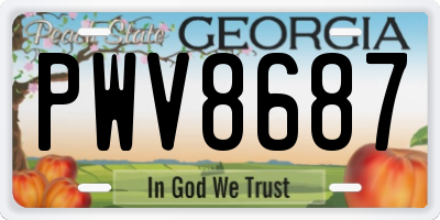 GA license plate PWV8687