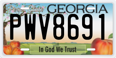 GA license plate PWV8691