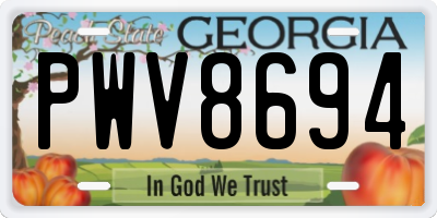 GA license plate PWV8694