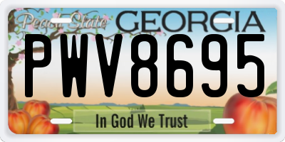 GA license plate PWV8695
