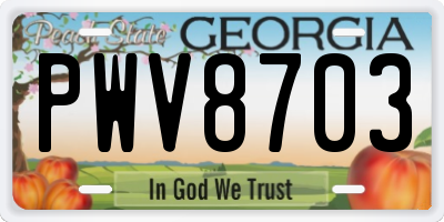 GA license plate PWV8703