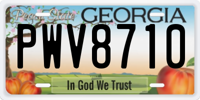 GA license plate PWV8710