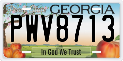 GA license plate PWV8713