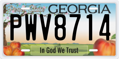 GA license plate PWV8714