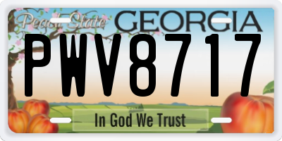 GA license plate PWV8717