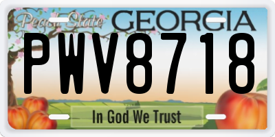 GA license plate PWV8718