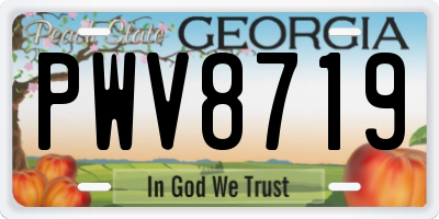 GA license plate PWV8719