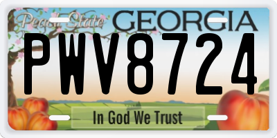 GA license plate PWV8724